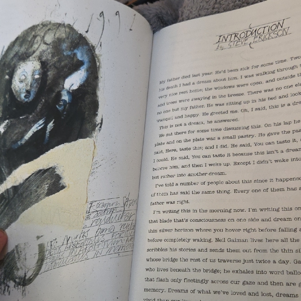Sandman Graphic Novels by Neil Gaiman - Picture 9 of 12
